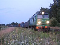 16.07.2009, stacja Stare Juchy, godzina 21:08. ST44-878 z pociągiem z drewnem w kierunku Korsz czeka na krzyżowanie z pociągiem pospiesznym 