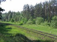 Dawne rozwidlenie trasy kolejowej do Ełku i bocznicy zakładowej (po prawej stronie torów, mniej więcej wzdłuż krawedzi wysokich drzew)