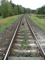 20.09.2008, km 116,0, widok w kierunku Starych Juch. Odcinek ten przeszedł podobny remont w maju 2001 roku.