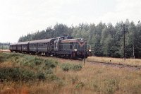 18.07.1994, między Nidzicą i Wielbarkiem, SP42-160 z pociągiem nr 96223