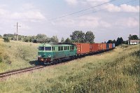 12.06.2003, niedaleko miejscowości Chrzanowo (między Ełkiem a Woszczelami), SU46-010 z dodatkowym pociągiem TNGS 1599 Białystok - Zajączkowo Tczewskie, około godz. 17.00