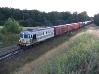 23.07.2006, ok. kilometra za stacją w Starych Juchach, ST43-318 z niewielkim składem Zajączkowo Tczewskie - Białystok (głównie wagony Kronospan-u Szczecinek)
